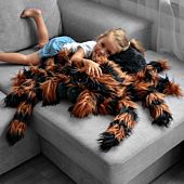 Reuze tarantula knuffel