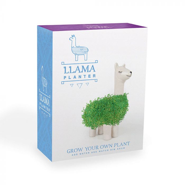 Verouderd waarom niet Wolf in schaapskleren De groene lama Planter - om verse sprouts te kweken | snelle levering